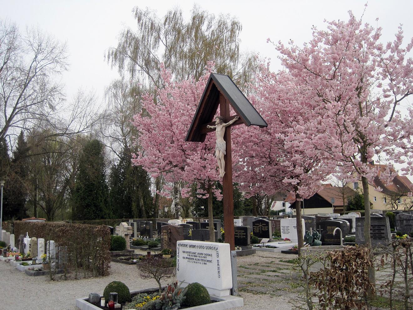 AAAA