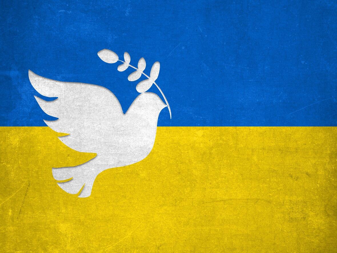 hilfe-fuer-gefluechtete-aus-der-ukraine4256173