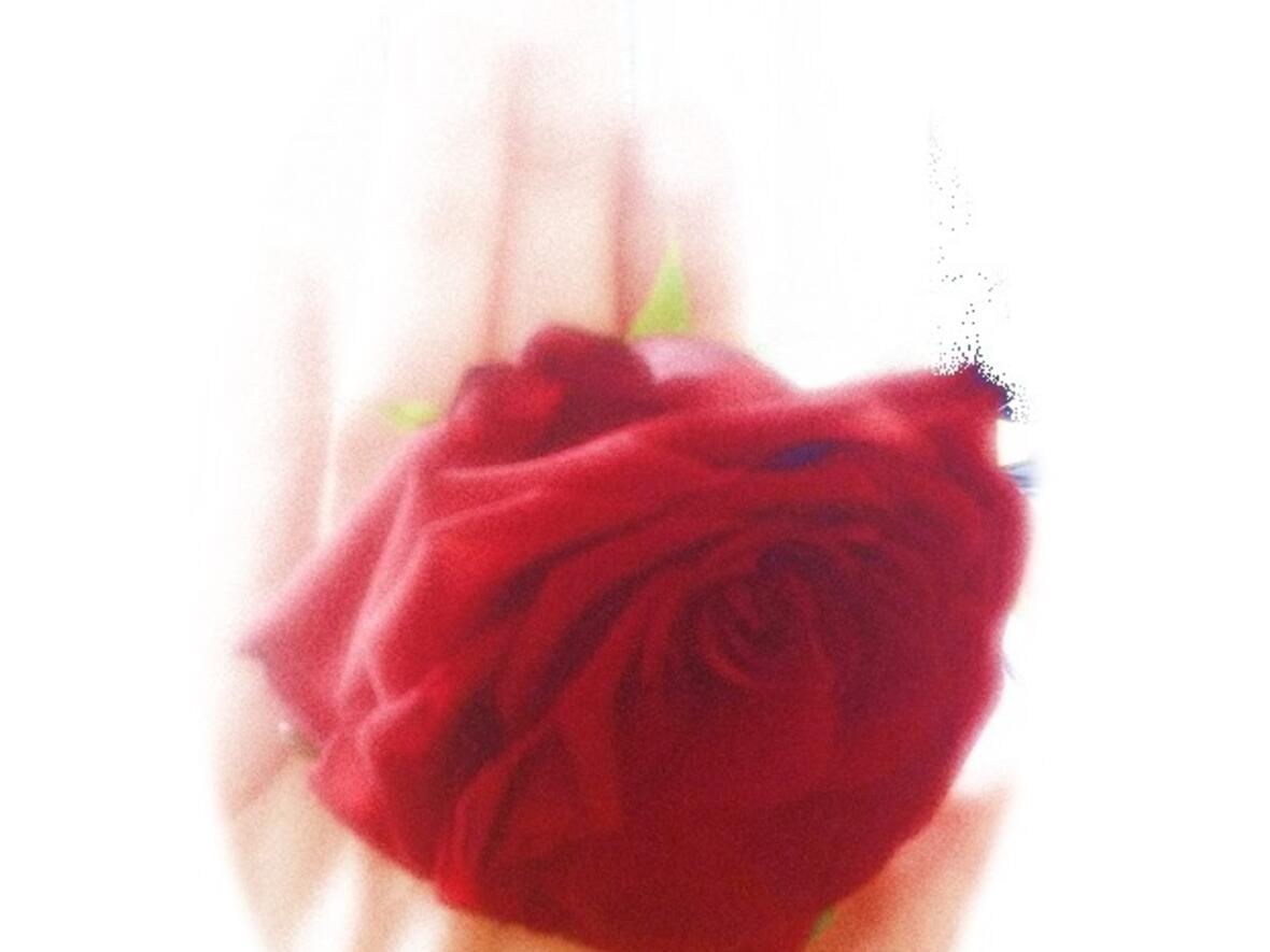 ehevorbereitungskurse-20171800891