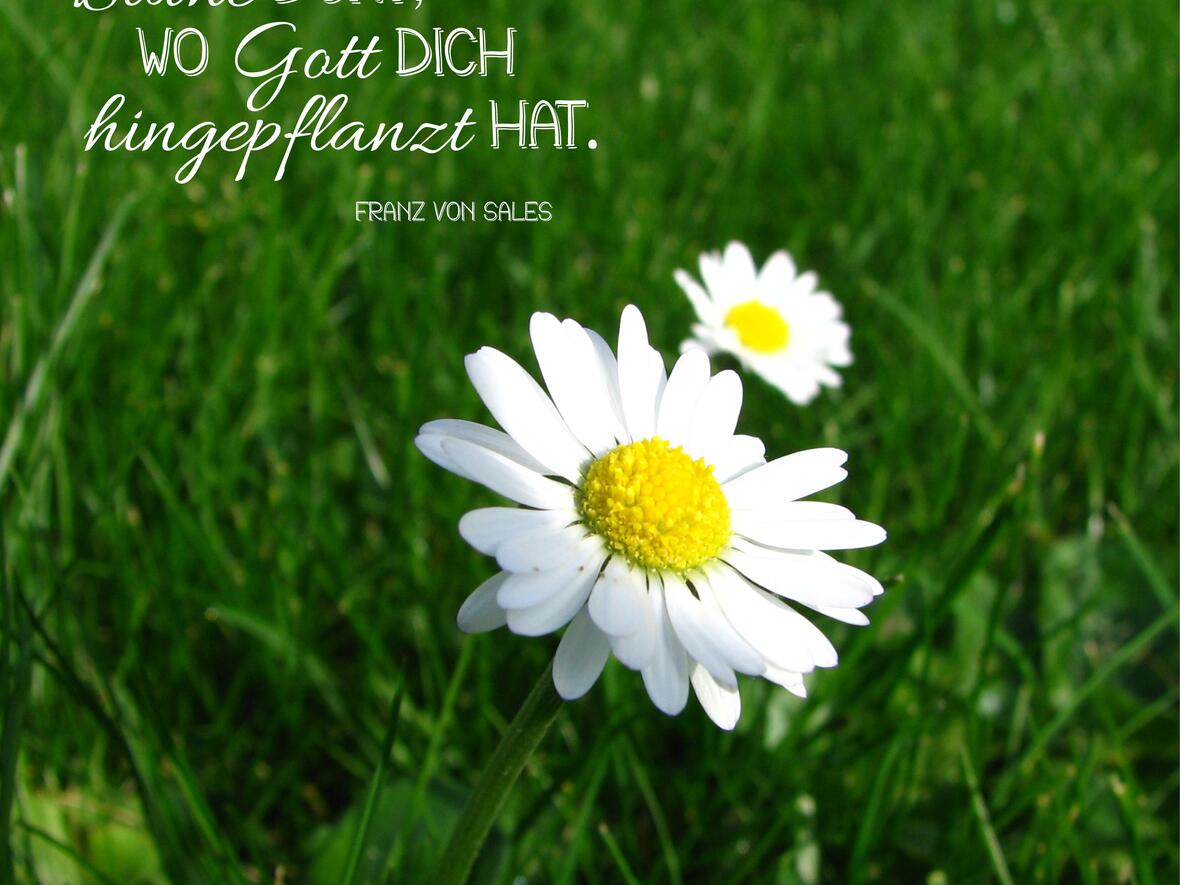 gottes-schoepfung-bewahren3630604