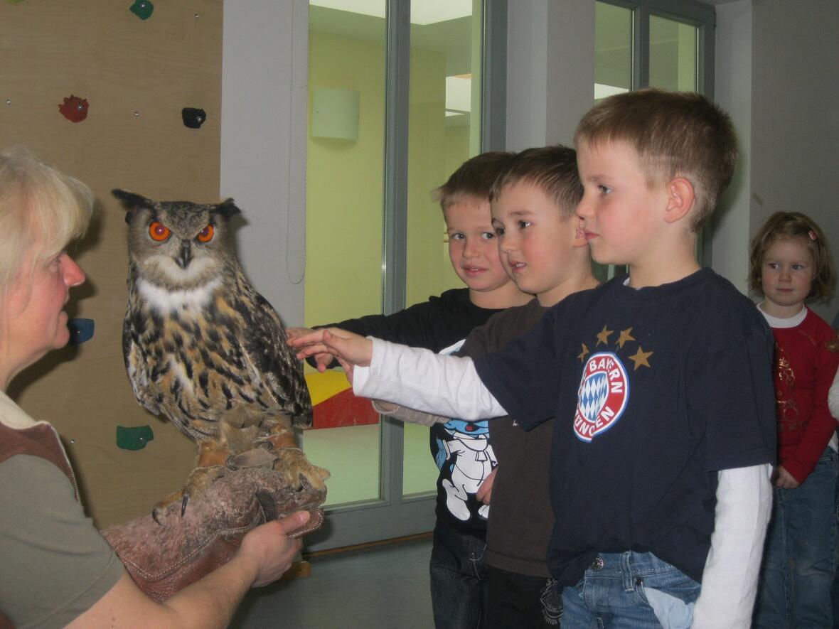 Mit dem Uhu auf Streichelkontakt
