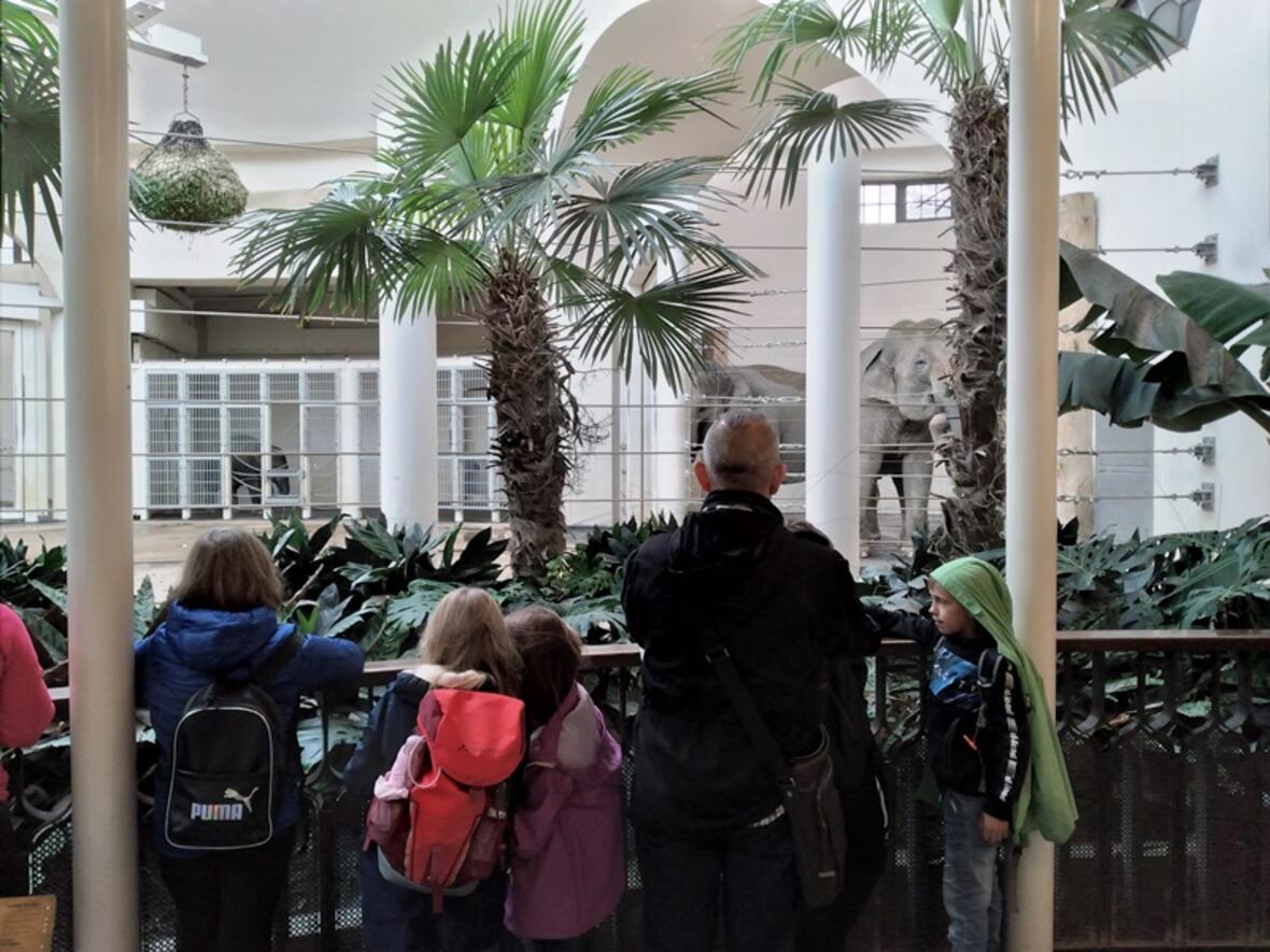 ministrantenausflug-in-den-muenchner-tierpark-hellabrunn4352214