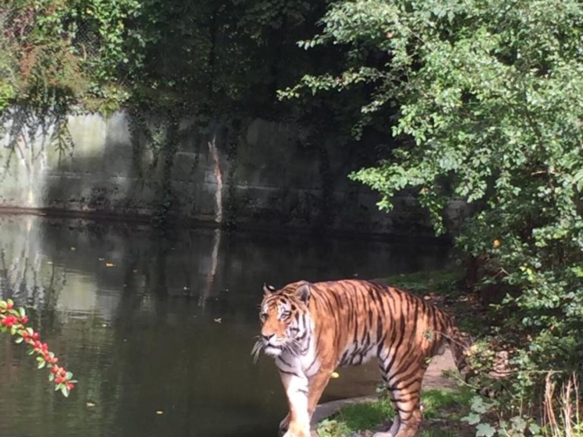 ministrantenausflug-in-den-muenchner-tierpark-hellabrunn4352217