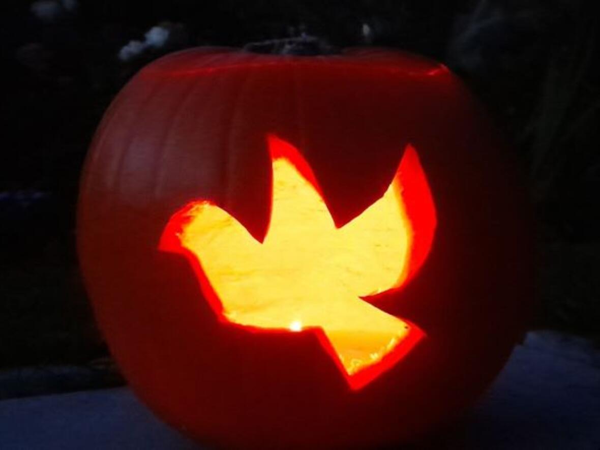 ministranten-schnitzten-holyween-kuerbisse4372123