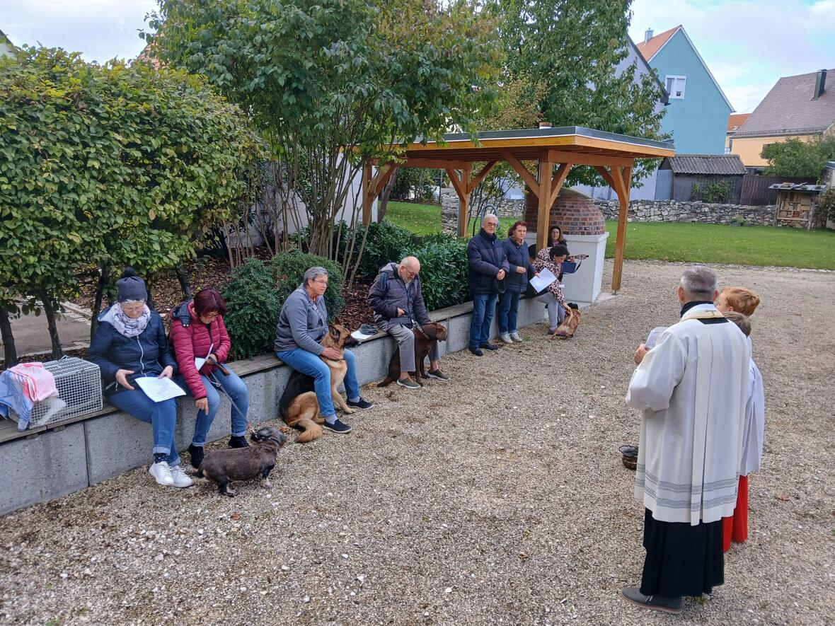 hund-e-katz-stellten-sich-unter-den-segen-gottes4737695