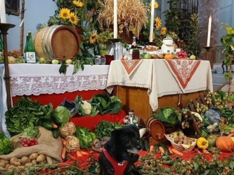 Erntedankaltar, "bewacht" von einem Hund aus der Tiersegnung