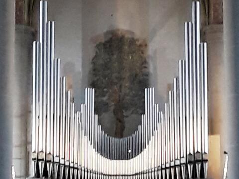 albertus-magnus-orgel4063802