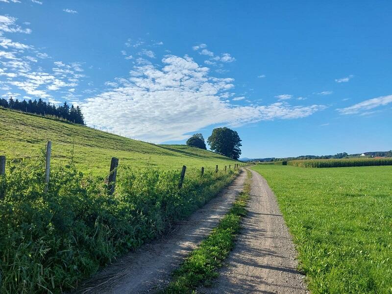 pfarr-und-wallfahrtskirche-maria-steinbach-dioezese-augsburg-aktuelles-schulstart-mit-sternwallfahrt-marianum-buxheim4893619