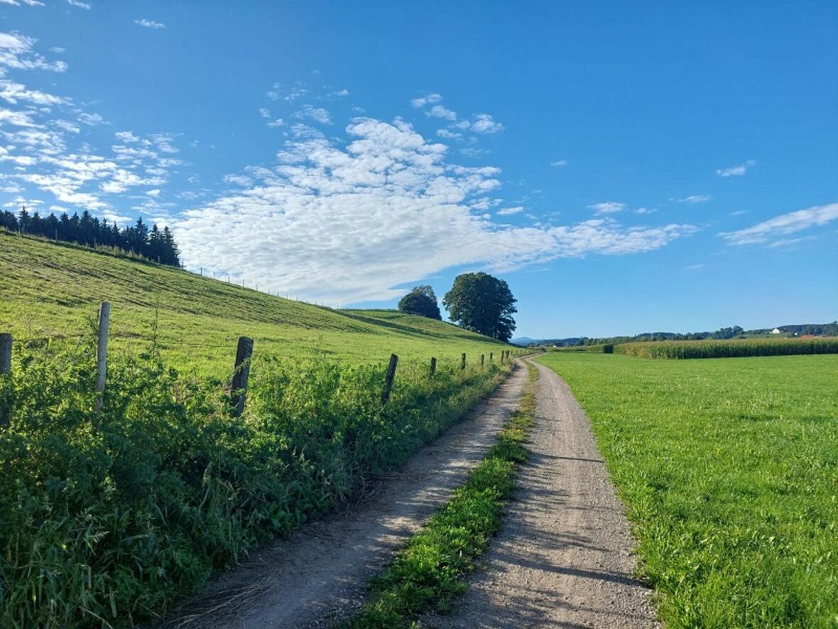 pfarr-und-wallfahrtskirche-maria-steinbach-dioezese-augsburg-aktuelles-schulstart-mit-sternwallfahrt-marianum-buxheim4893619