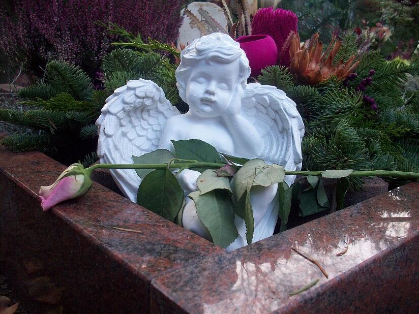 sternenkinder-initiative-meitingen4373708