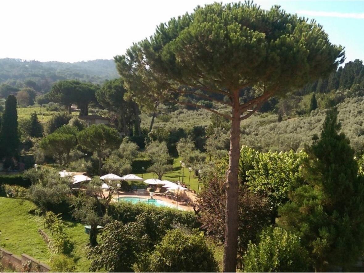 Bild10 Romfahrt  (800x460)