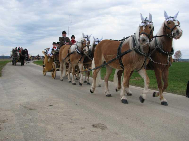 leonhardiritt-nach-stadel1778261