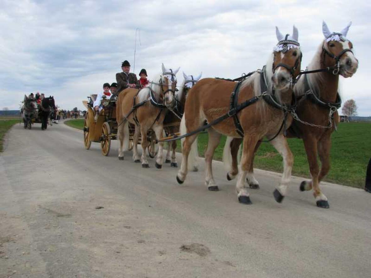 leonhardiritt-nach-stadel1778261