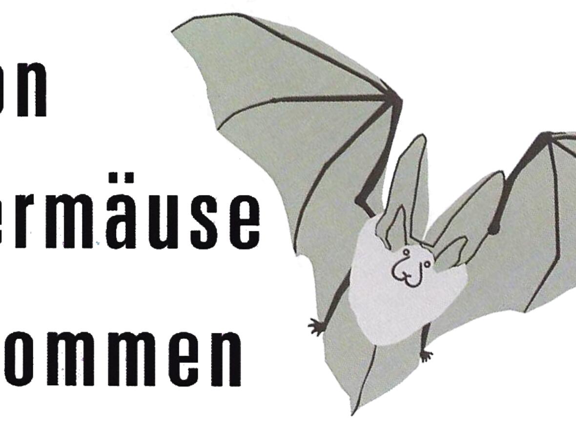 fledermaeuse-willkommen-im-kirchturm-von-st-agatha-uffing2320322