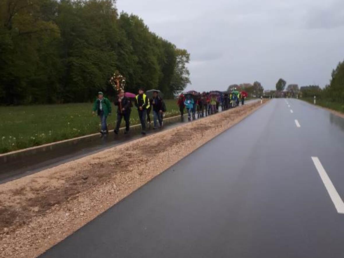 Die Pilger auf dem Weg....