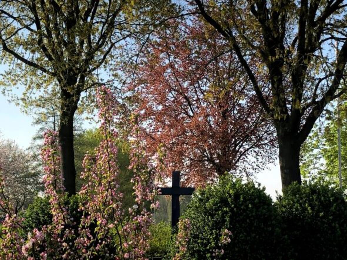 biblischer-abendspaziergang4318274