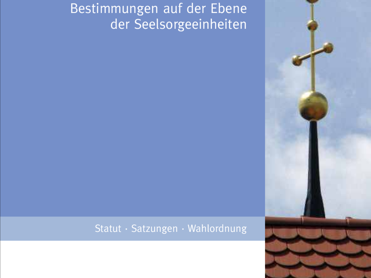 Pastorale Laiengremien (2013)