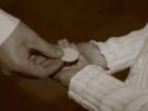 11679307338810496_150