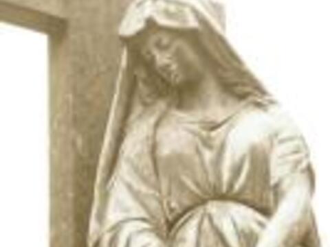 11679321434310500_133