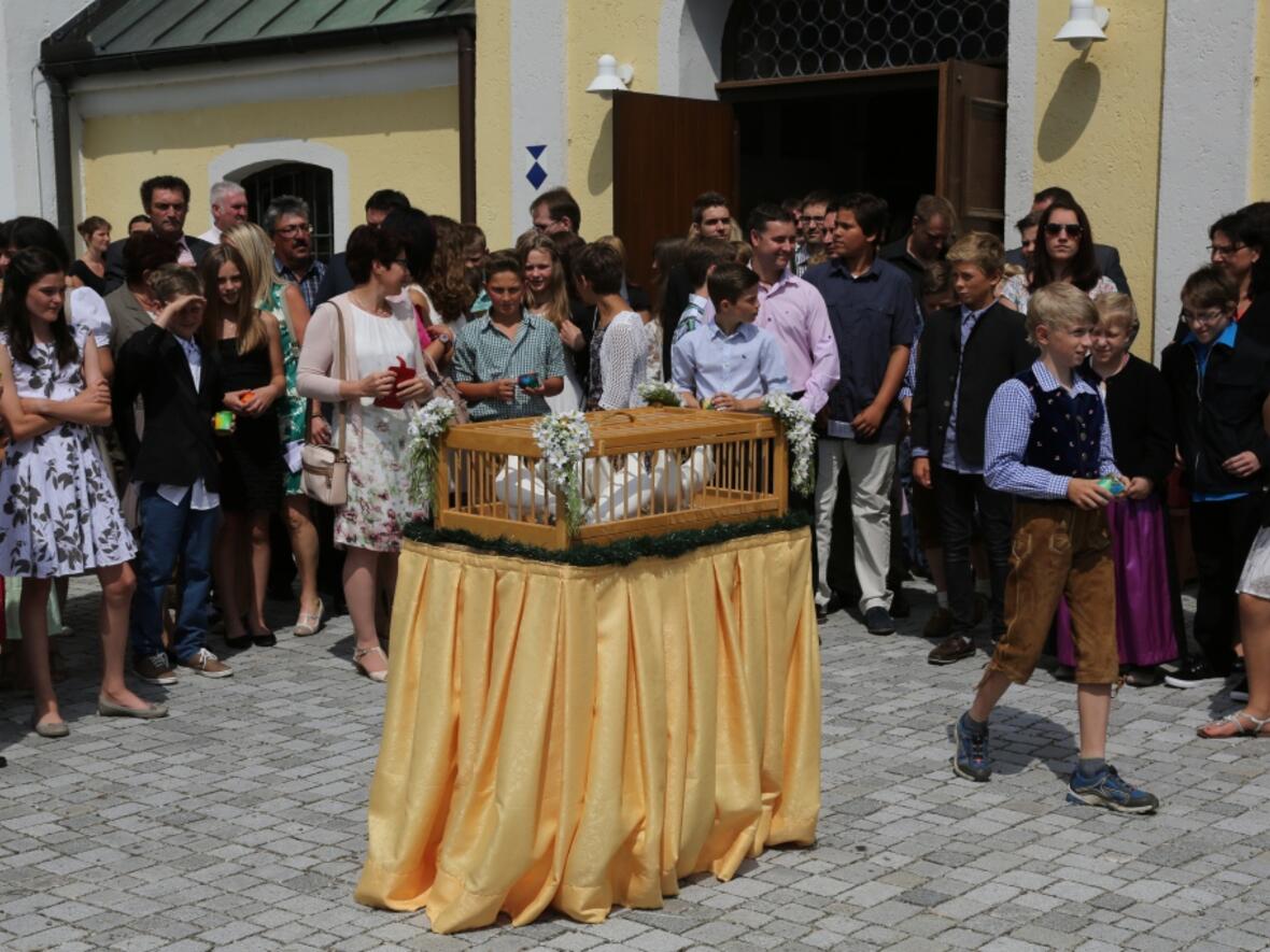 13_Sieben Tauben für die sieben Gaben des Heiligen Geistes_doc
